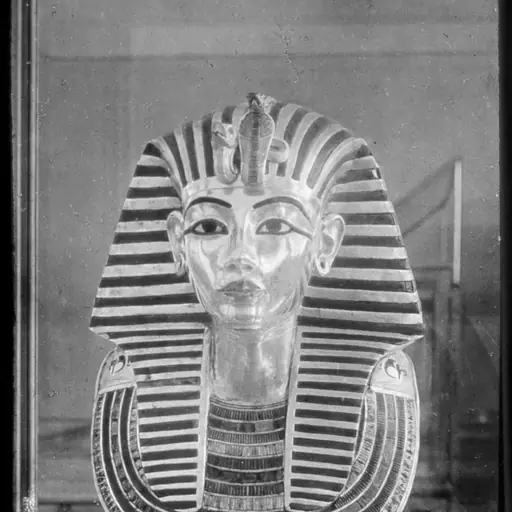 illustration: King Tut