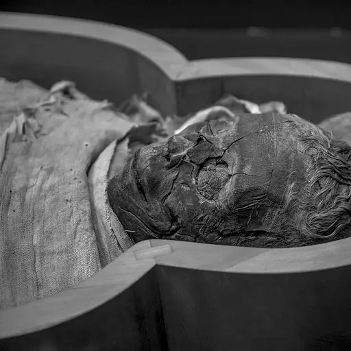 illustration: mummy