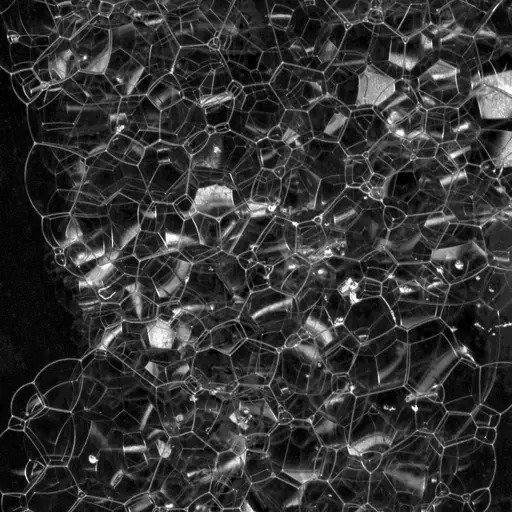 illustration: foam