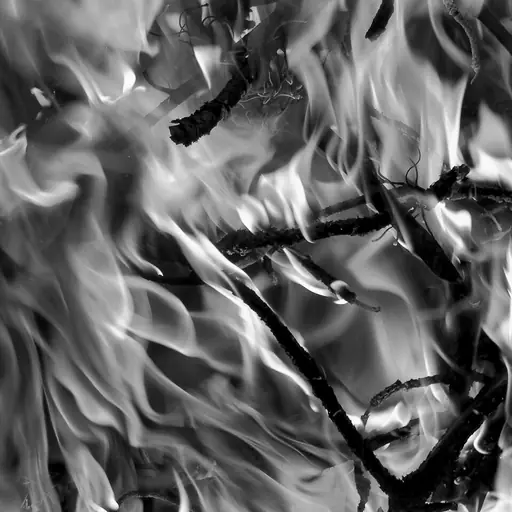 illustration: fire