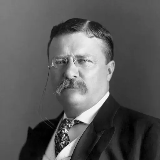 illustration: Theodore Roosevelt