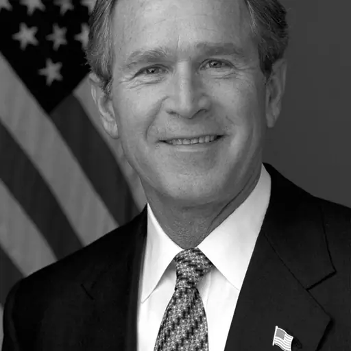 illustration: George W. Bush